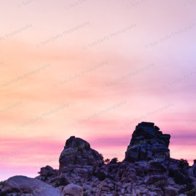 Joshua Tree Boulders Panoramic