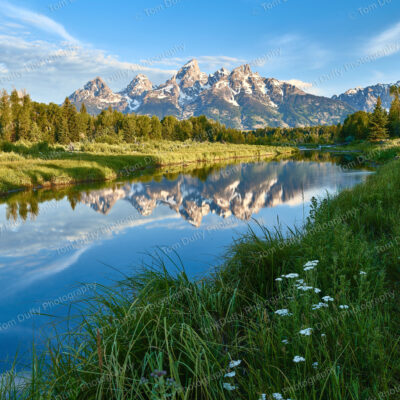 Tetons Reflected in Water