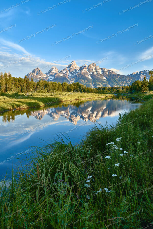 Tetons Reflected in Water