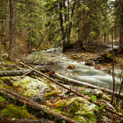 West Boulder River