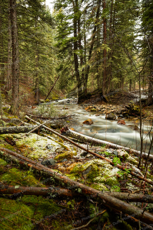 West Boulder River